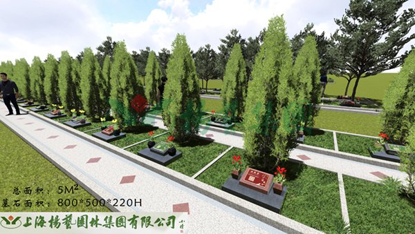 必赢亚洲·Bwin(唯一)官方网站