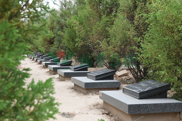 必赢亚洲·Bwin(唯一)官方网站