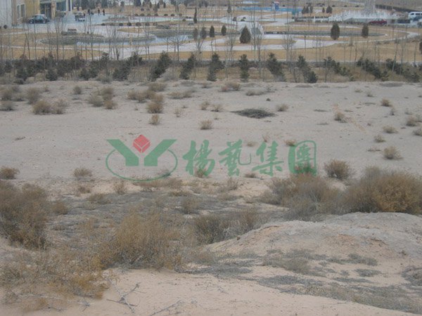 必赢亚洲·Bwin(唯一)官方网站