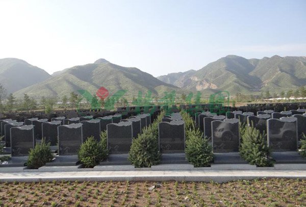 必赢亚洲·Bwin(唯一)官方网站