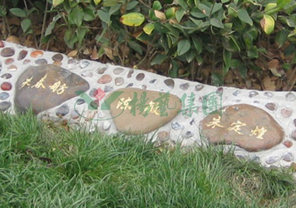 必赢亚洲·Bwin(唯一)官方网站