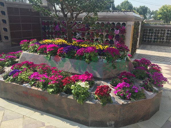 必赢亚洲·Bwin(唯一)官方网站