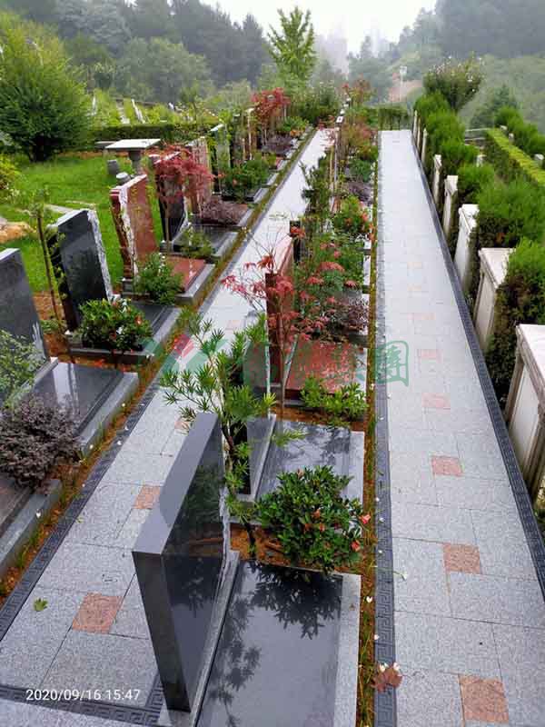 必赢亚洲·Bwin(唯一)官方网站