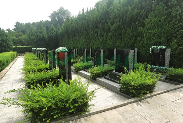 必赢亚洲·Bwin(唯一)官方网站