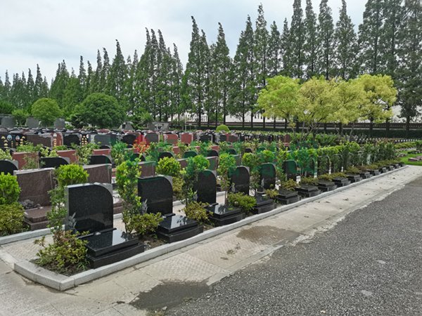 必赢亚洲·Bwin(唯一)官方网站