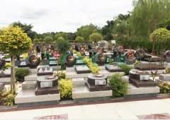 上海；；；；；；懔靶腔鹎