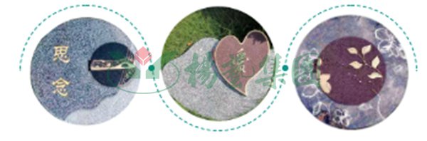 必赢亚洲·Bwin(唯一)官方网站