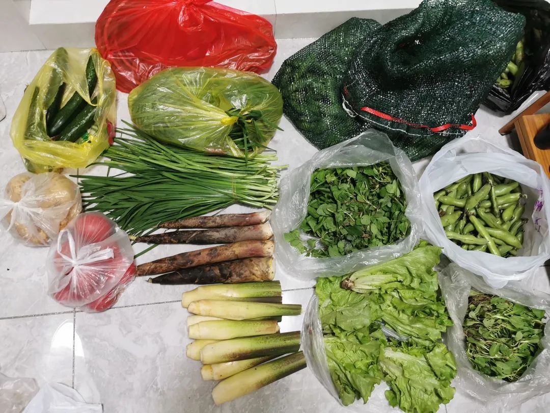 必赢亚洲·Bwin(唯一)官方网站