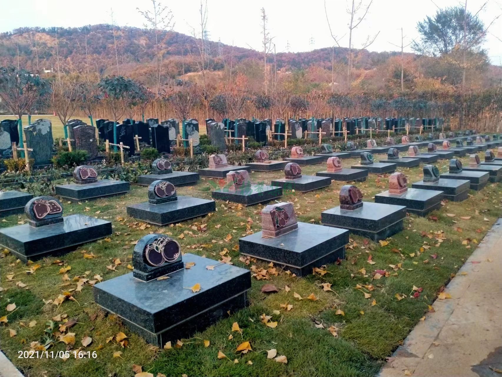 必赢亚洲·Bwin(唯一)官方网站