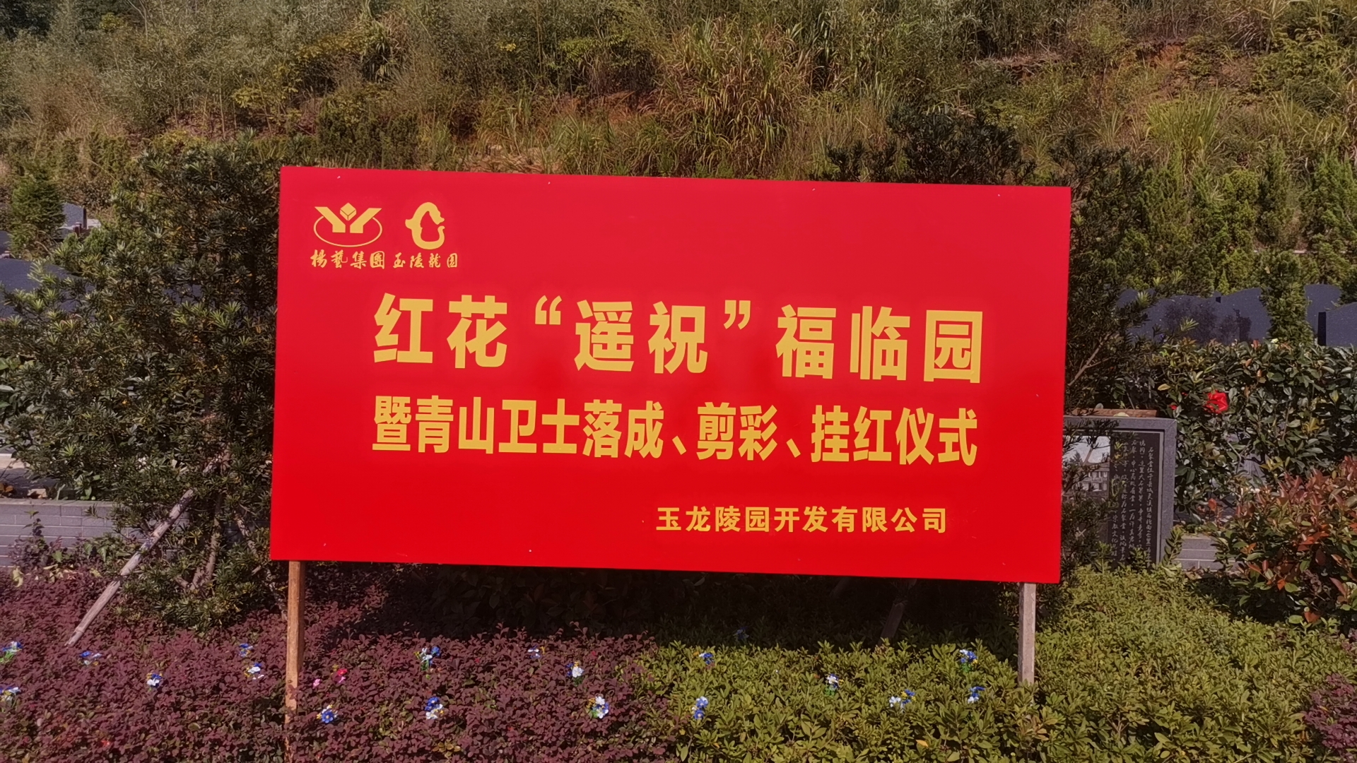 红花传爱意，，，，，，，情满玉龙园！