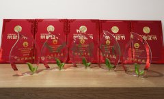 “必赢亚洲杯”浙江省节地生态埋葬设计作品奖