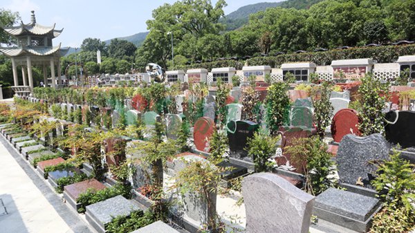 必赢亚洲·Bwin(唯一)官方网站