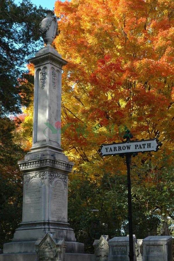 必赢亚洲·Bwin(唯一)官方网站