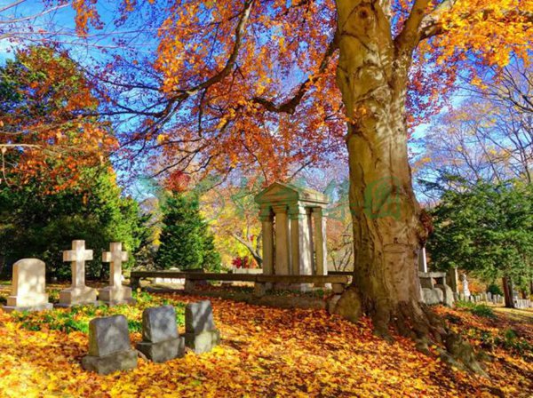 必赢亚洲·Bwin(唯一)官方网站