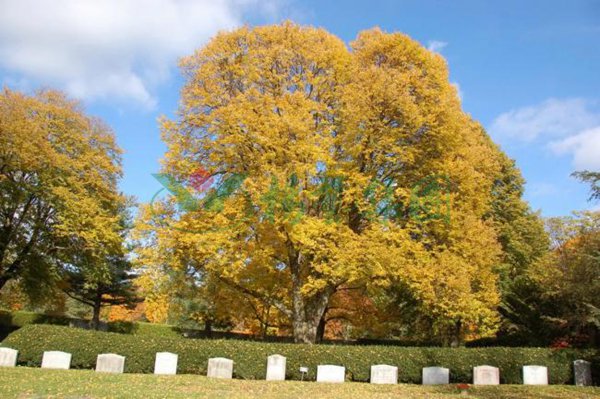 必赢亚洲·Bwin(唯一)官方网站