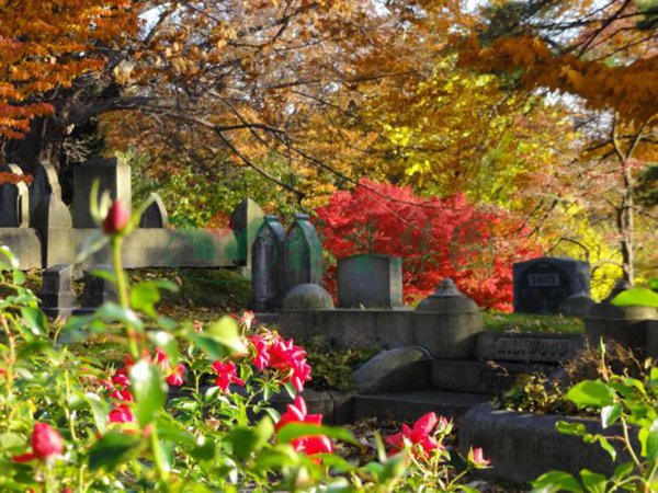 必赢亚洲·Bwin(唯一)官方网站