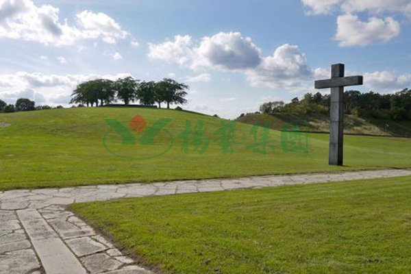 必赢亚洲·Bwin(唯一)官方网站