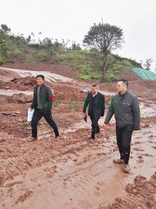 必赢亚洲·Bwin(唯一)官方网站