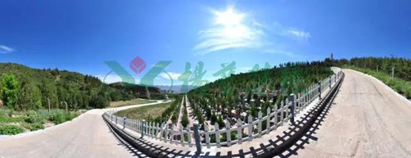 必赢亚洲·Bwin(唯一)官方网站