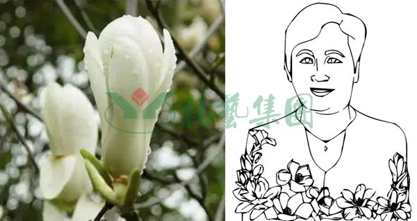 必赢亚洲·Bwin(唯一)官方网站