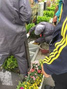 【必赢亚洲人别样清明】2018年清明落葬事情圆满完成