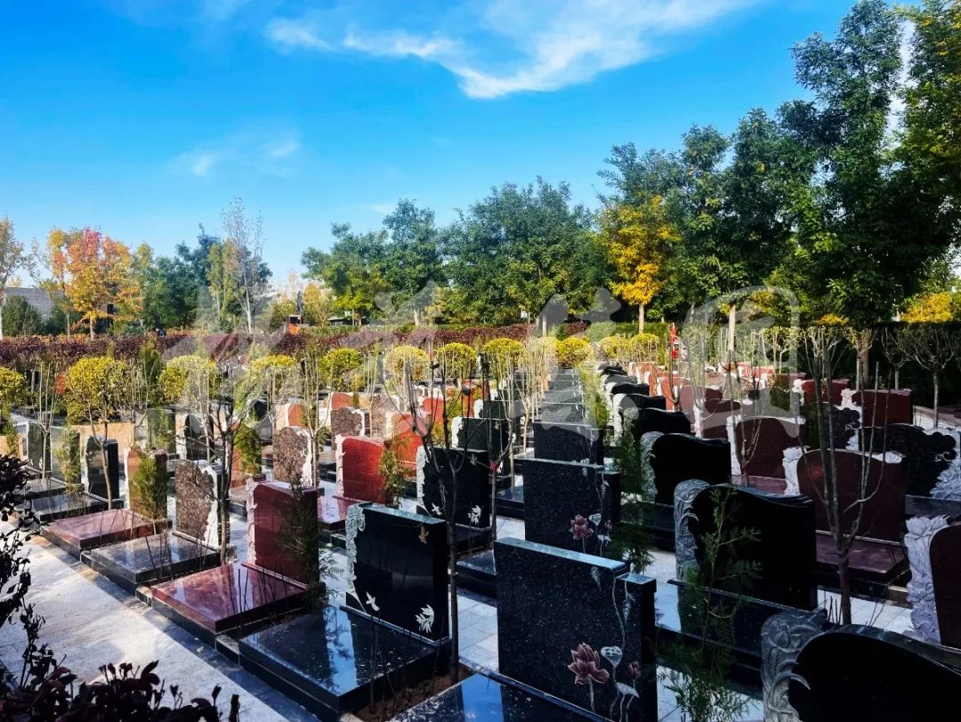 必赢亚洲·Bwin(唯一)官方网站