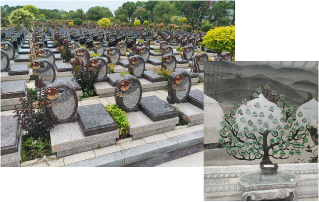 必赢亚洲·Bwin(唯一)官方网站