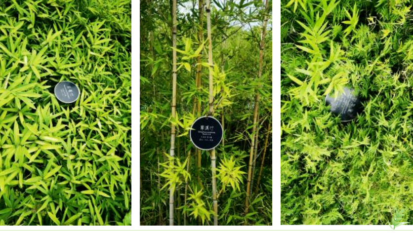 必赢亚洲·Bwin(唯一)官方网站