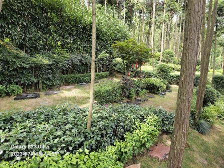 必赢亚洲·Bwin(唯一)官方网站