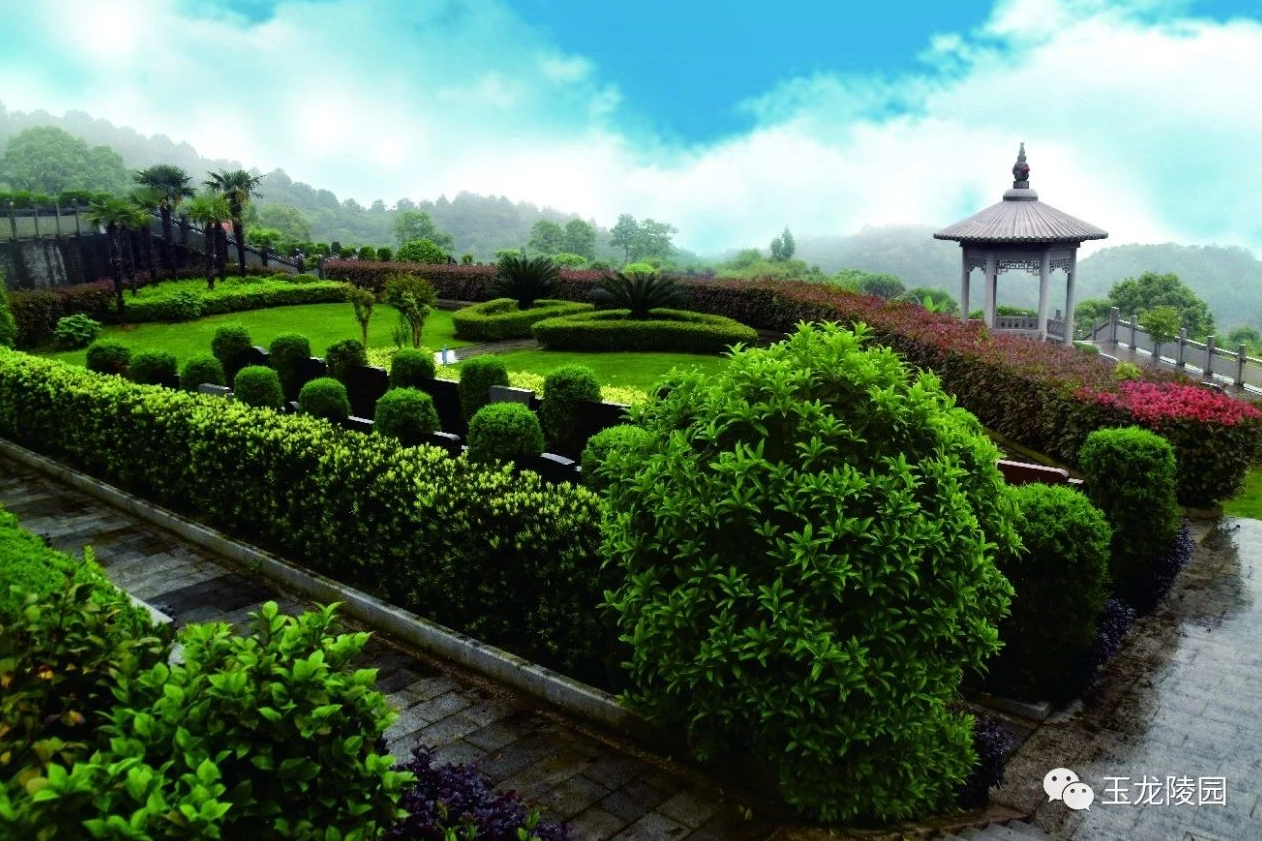 必赢亚洲·Bwin(唯一)官方网站