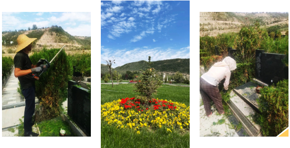 必赢亚洲·Bwin(唯一)官方网站