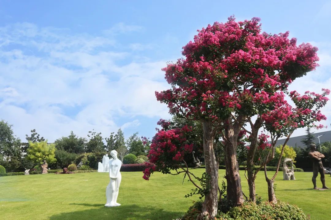 必赢亚洲·Bwin(唯一)官方网站