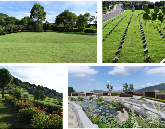 必赢亚洲·Bwin(唯一)官方网站