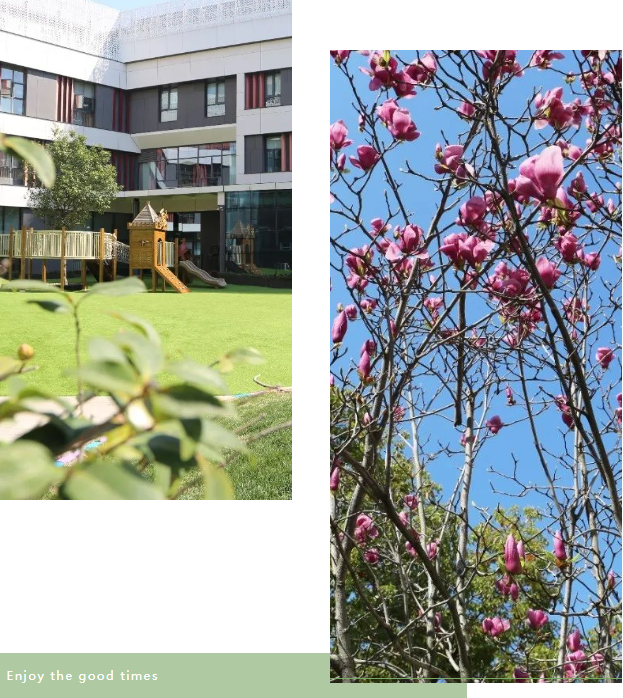 必赢亚洲·Bwin(唯一)官方网站