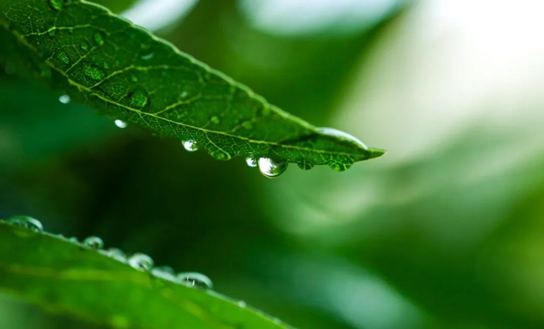 必赢亚洲·Bwin(唯一)官方网站