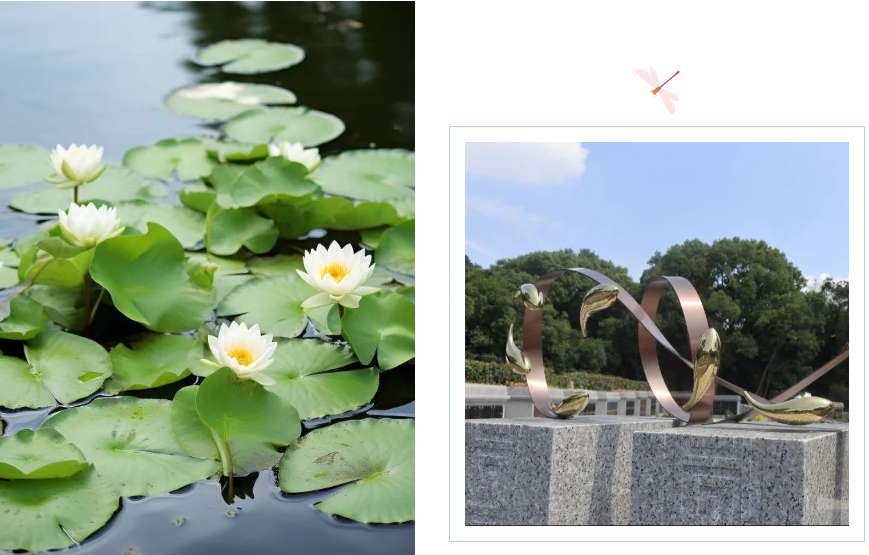 必赢亚洲·Bwin(唯一)官方网站