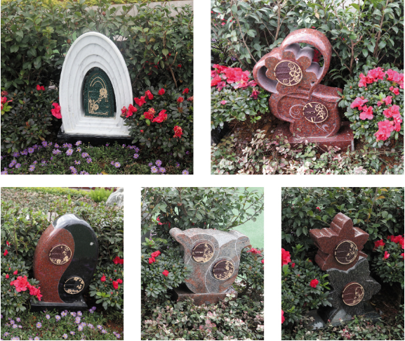 必赢亚洲·Bwin(唯一)官方网站