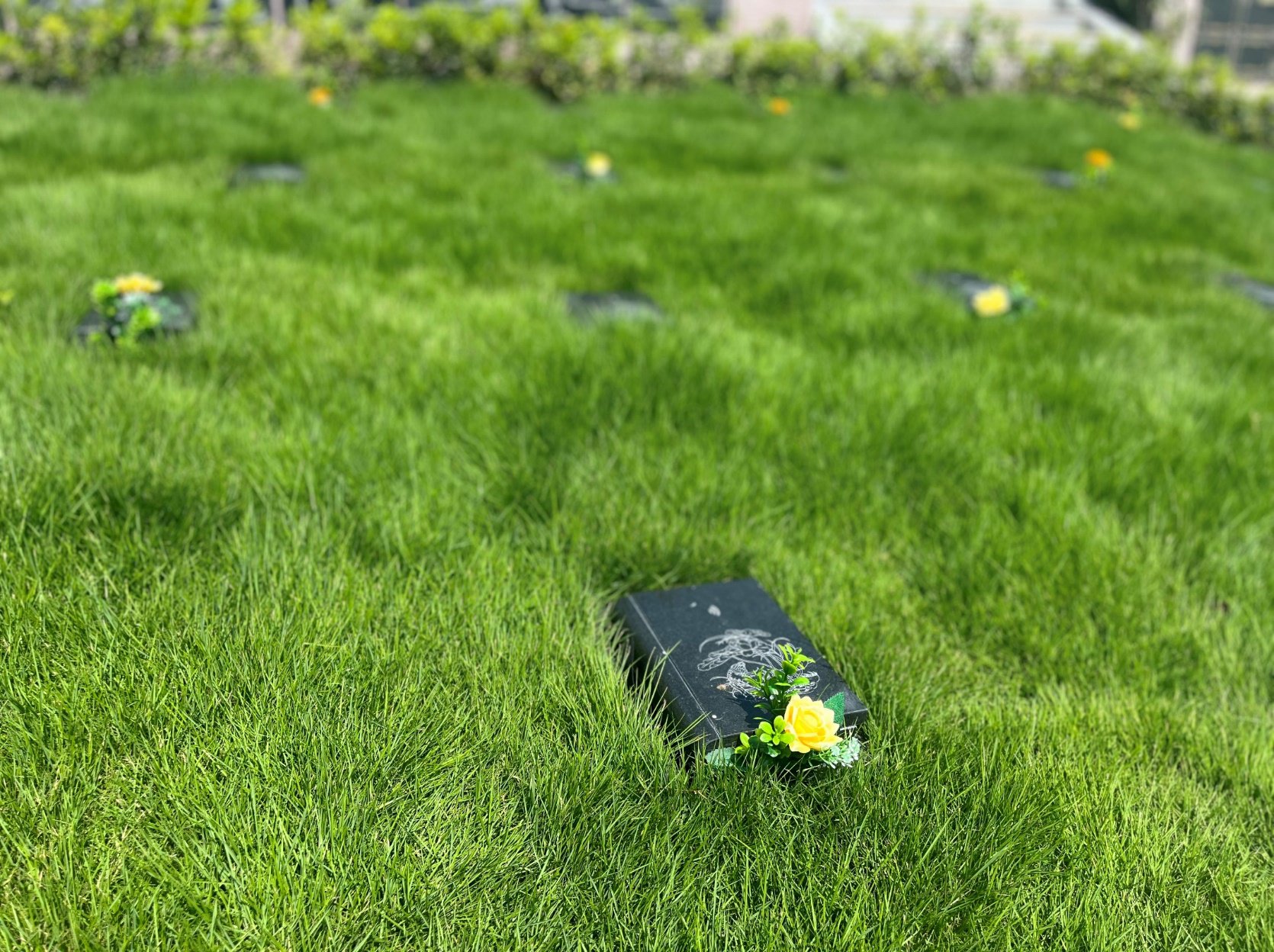 必赢亚洲·Bwin(唯一)官方网站