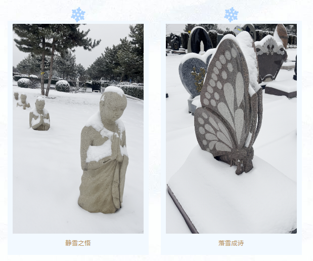 必赢亚洲·Bwin(唯一)官方网站