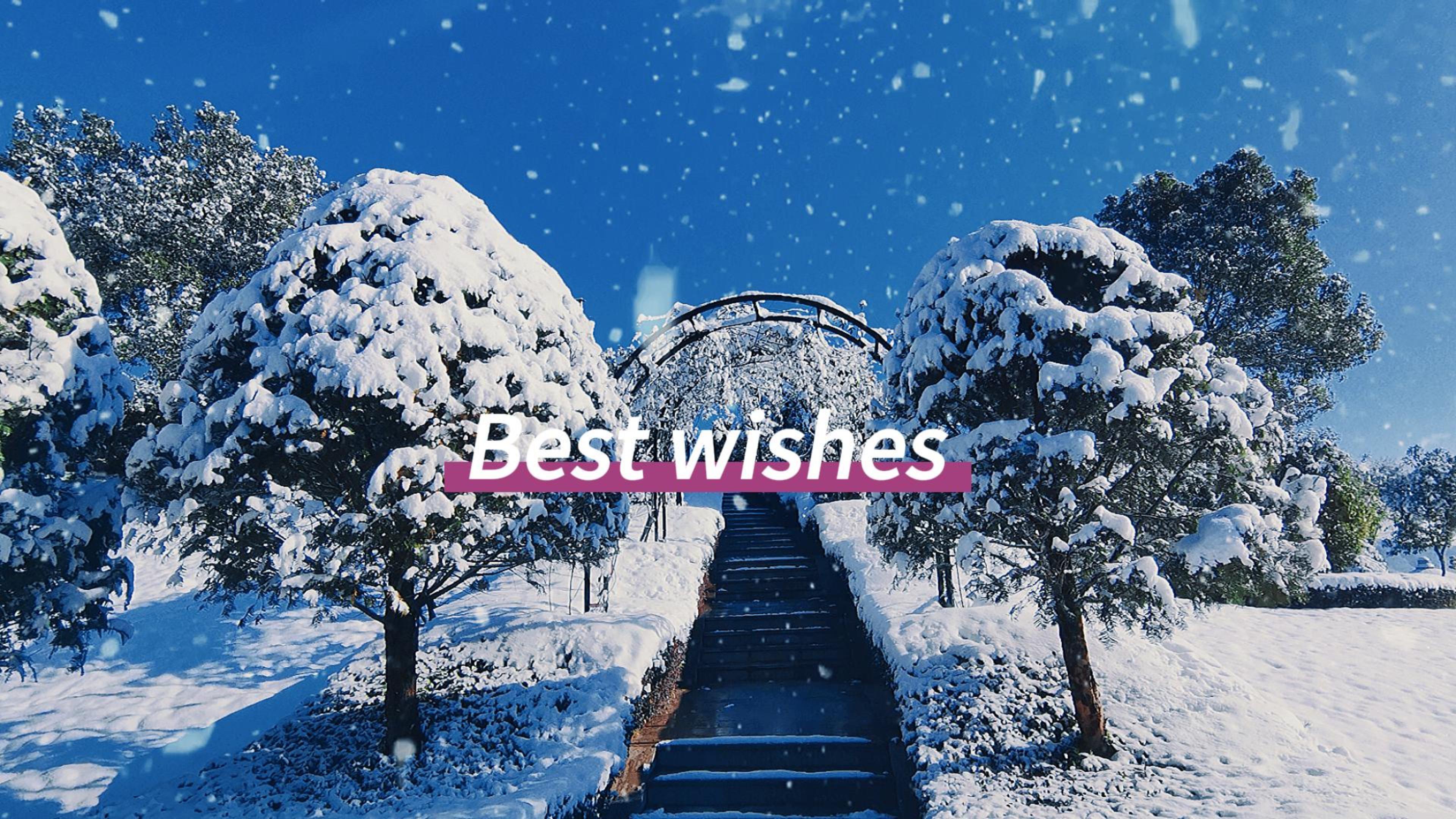 必赢亚洲·Bwin(唯一)官方网站