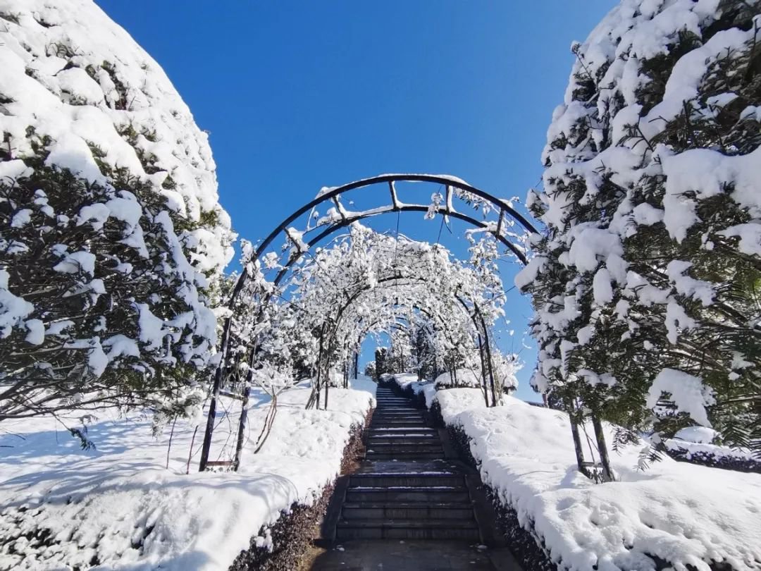 雪落玉龙，，，，，，三冬含暖。。。。