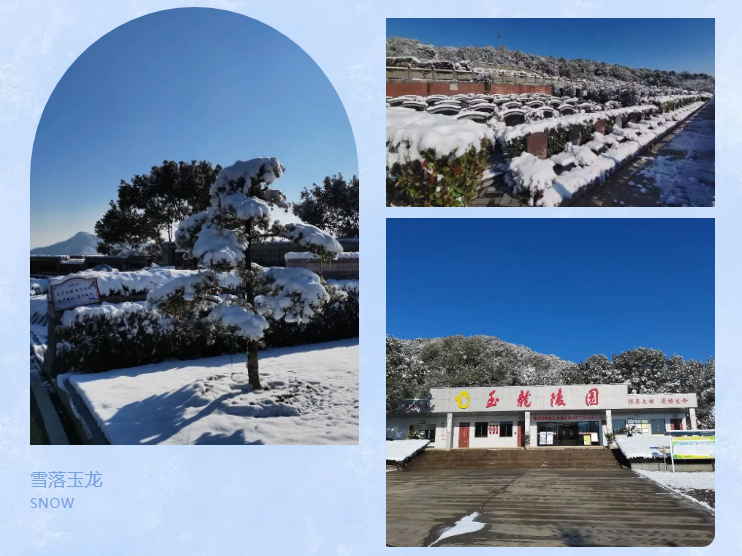 必赢亚洲·Bwin(唯一)官方网站