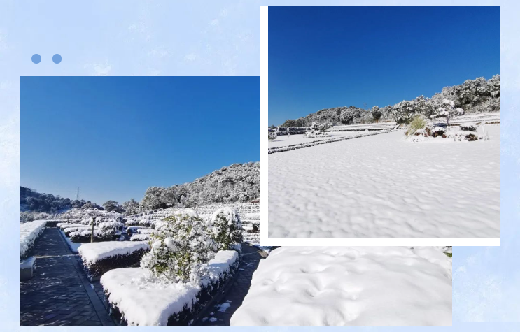 必赢亚洲·Bwin(唯一)官方网站