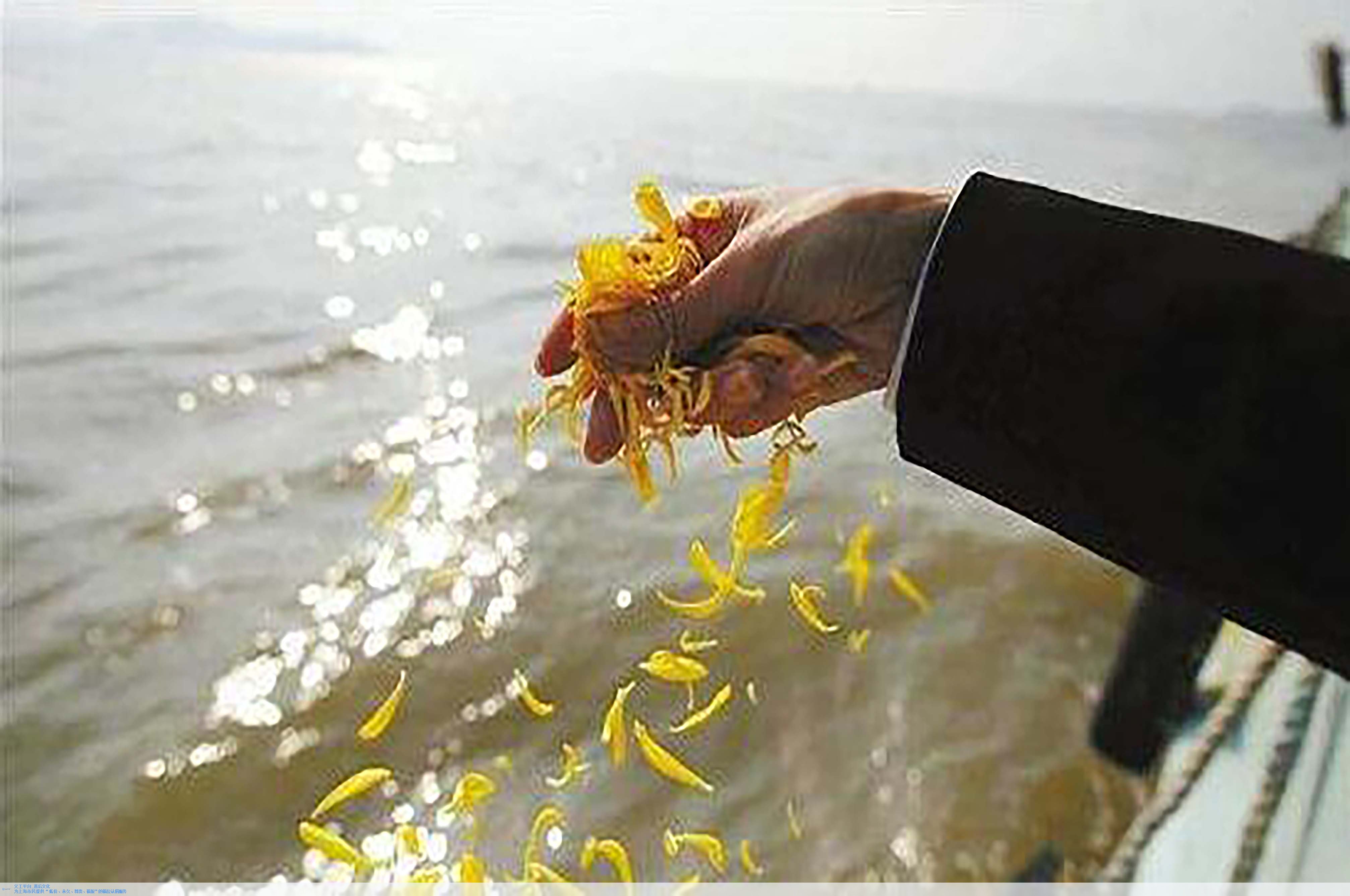 必赢亚洲·Bwin(唯一)官方网站