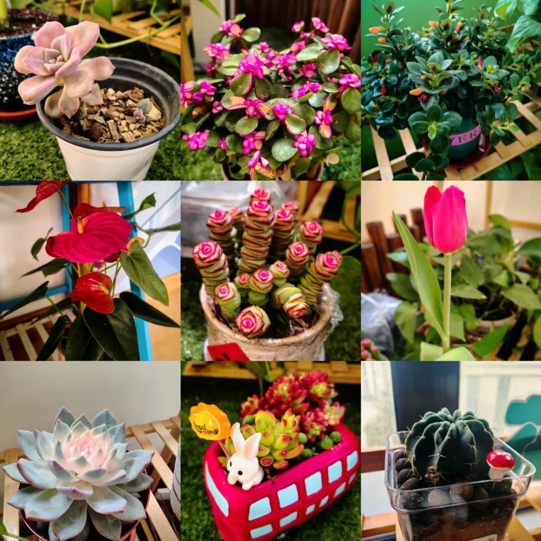 必赢亚洲·Bwin(唯一)官方网站