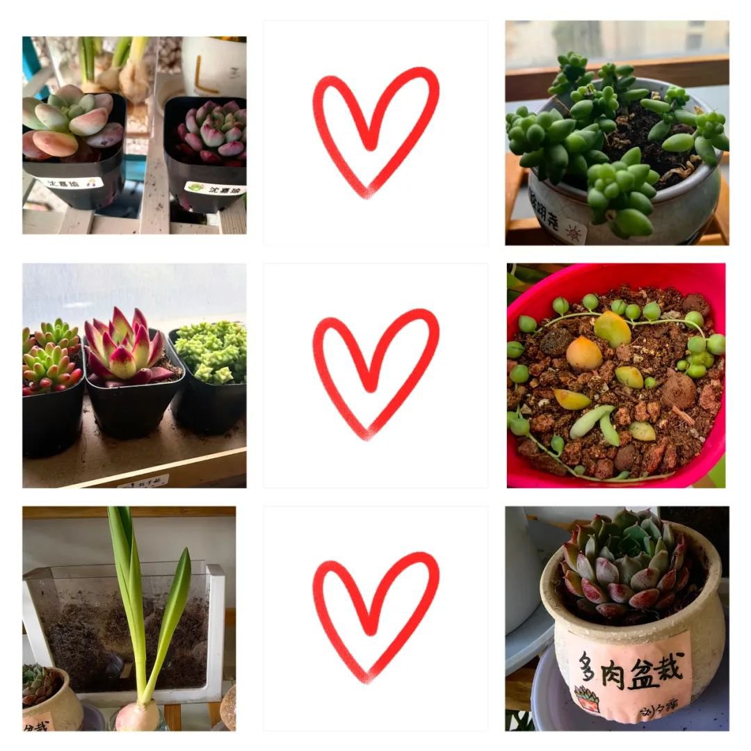 必赢亚洲·Bwin(唯一)官方网站