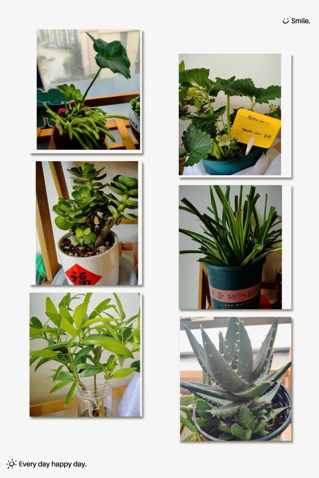 必赢亚洲·Bwin(唯一)官方网站