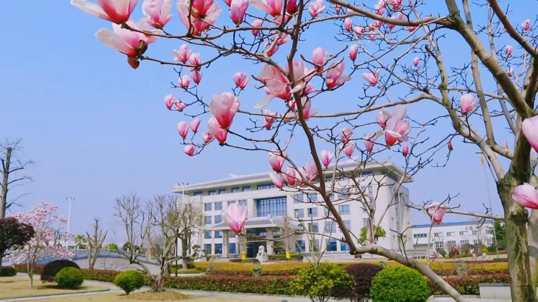 必赢亚洲·Bwin(唯一)官方网站