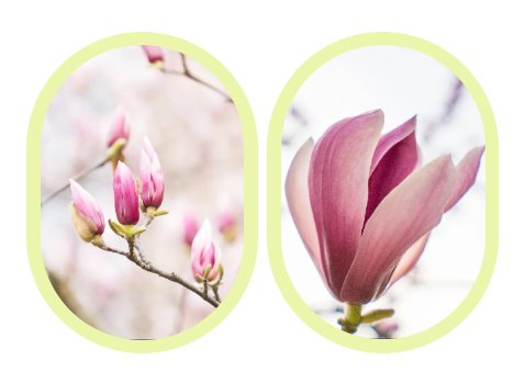 必赢亚洲·Bwin(唯一)官方网站