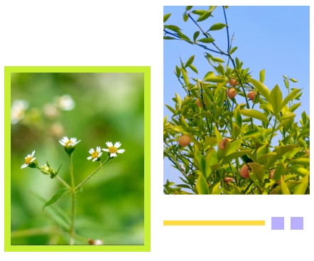 必赢亚洲·Bwin(唯一)官方网站